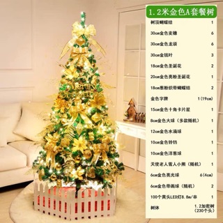 Cây thông noel