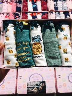 SET HỘP 5 QUẦN CHIP COTTON