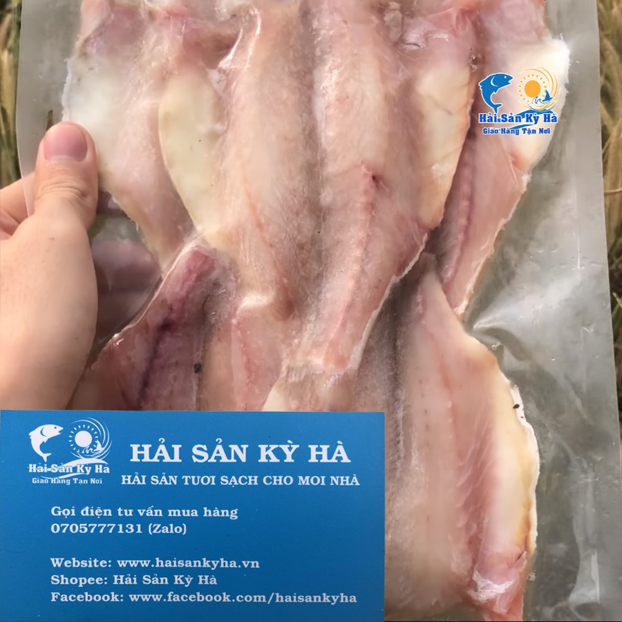 Giá Sỉ - Cá Đù Xẻ 1 Nắng size 12-16con - Q12