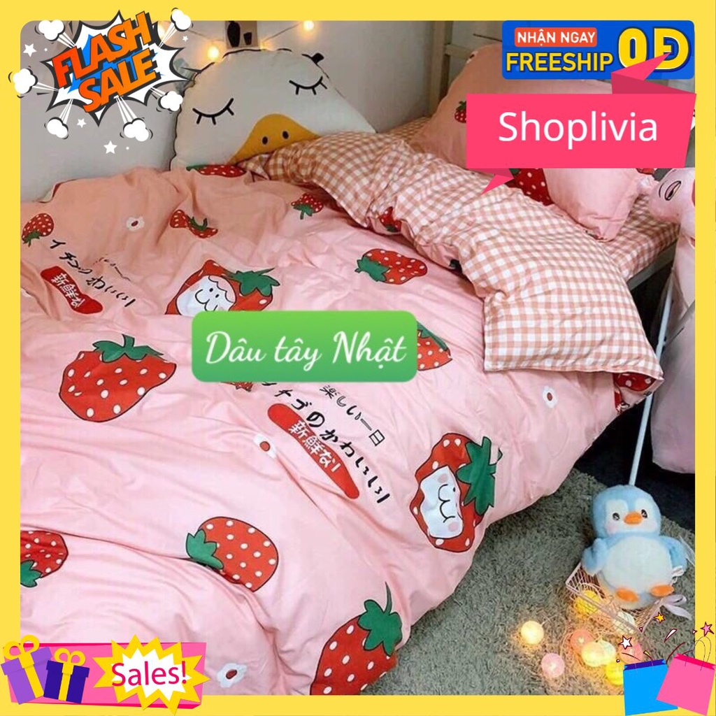 Bộ 1 Ga Chun 2 Vỏ Gối Nằm combo 3 món Poly GẤU