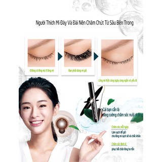 Dưỡng Mi ESSEHAIR LASH ENHANCER