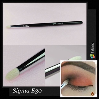 Cọ mắt Sigma các loại