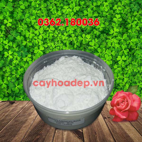 Cytokinin - 6BA 99%  Hormone 6-BAP  tặng kèm dung môi