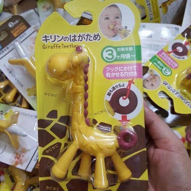 Gặm nướu hươu cao cổ