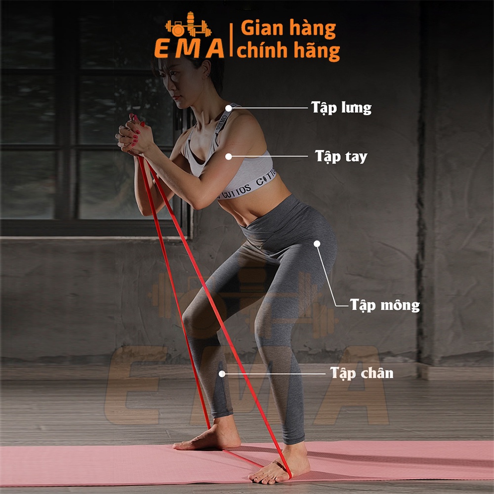 Dây kháng lực tập gym, yoga, pilates - dây cao su đàn hồi siêu tốt - Đa dạng lựa chọn phù hợp mọi nhu cầu