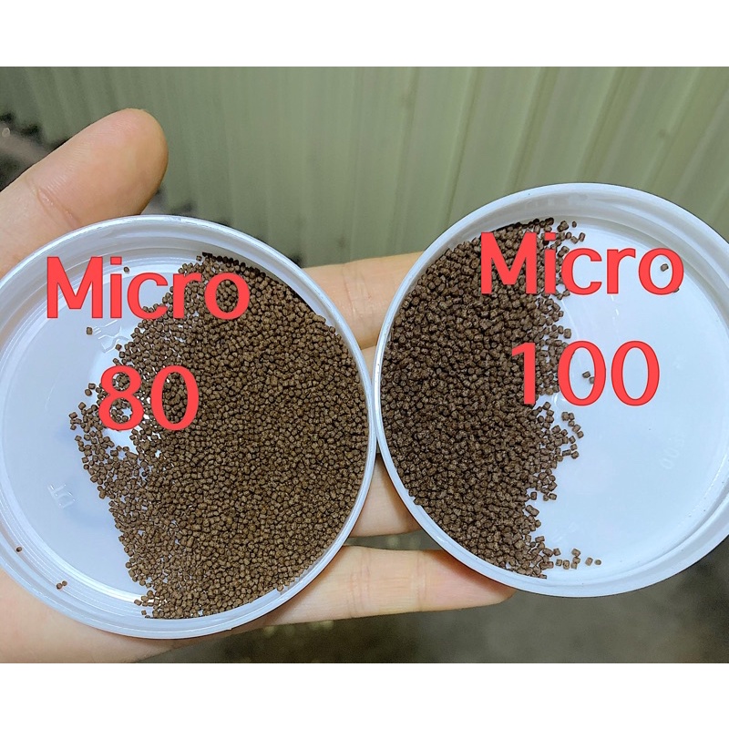 1kg Cám Nổi MICRO 80 -100-120- Micro 180, THức ăn  cho cá cảnh, thức ăn cho lươn, cá vàng, cá chép koi, betta, guppy