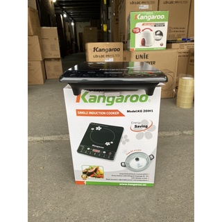Bếp điện từ đơn KG20IH1