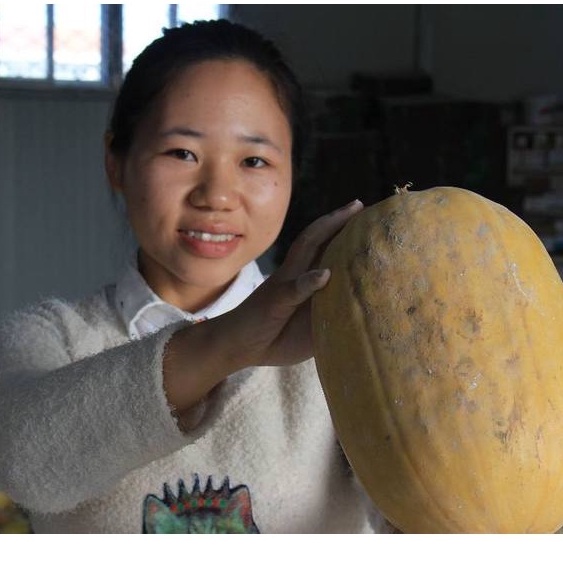 Hạt Giống Bí Sợi Mì Ý Spaghetti (A1.302| C38A*W44) tặng kèm gói thuốc kích hat nảy mầm