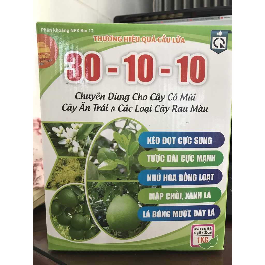 30.10.10 - KG - QUẢ CẦU LỬA - BIO JAPAN