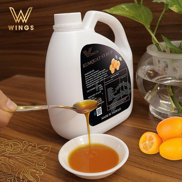 Siro Wings can 2,5kg