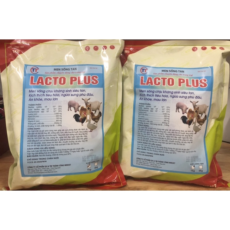 [1 Kg LACTO PLUS ] Men sống chịu kháng sinh, siêu tan. Kích thích tiêu hóa, ngừa sưng phù đầu. Ăn khỏe, lớn nhanh