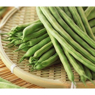 Hạt giống đậu cô ve bụi hạt trắng gói 50g