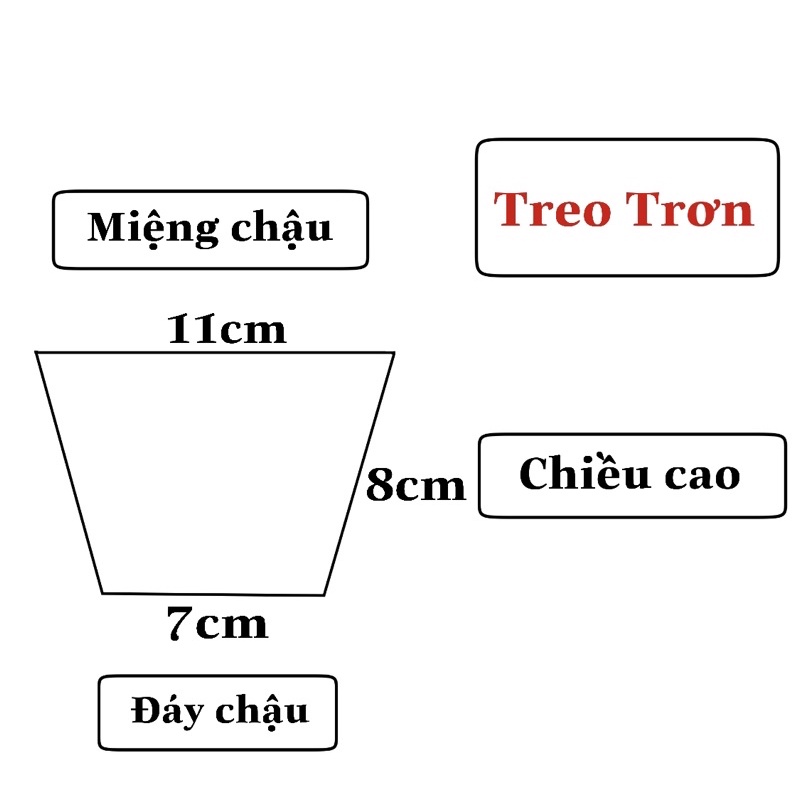 Combo 10 chậu treo mini GIÁ TẠI XƯỞNG (Kèm dây treo)