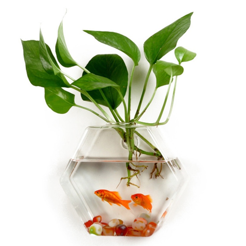 Bình Hoa Thủy Tinh Trong Suốt Hình Lục Giác Treo Tường Trang Trí Nội Thất DIY