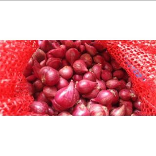 (Chính Gốc) Hành Tím Ta Phan Rang (1 kg)