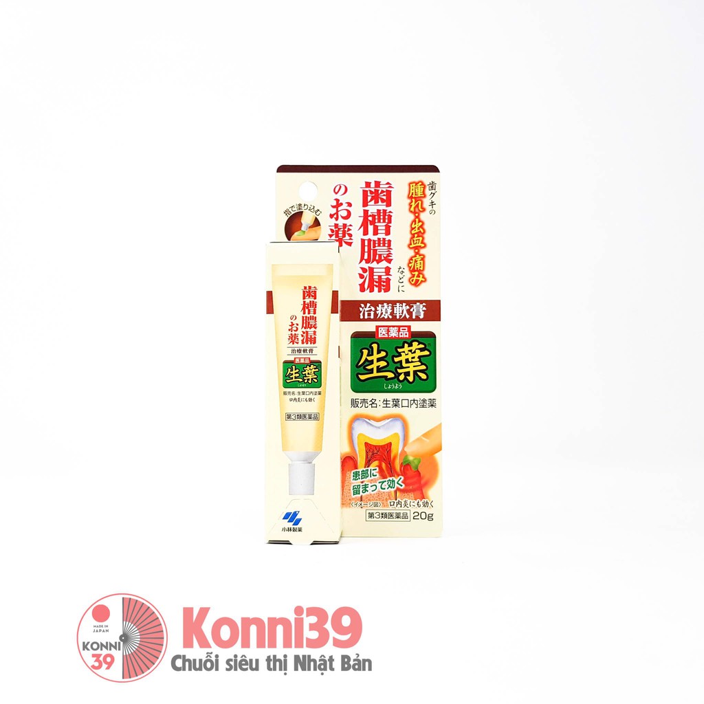 GEL BÔI GIẢM SƯNG NƯỚU, LOÉT MIỆNG KOBAYASHI TUÝP 20G - HÀNG NHẬT NỘI ĐỊA