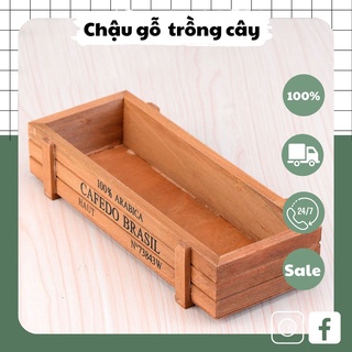 Chậu gỗ trồng sen đá, xương rồng, cây cảnh để bàn, tiểu cảnh Cafedo 22x9x4cm màu Nâu.