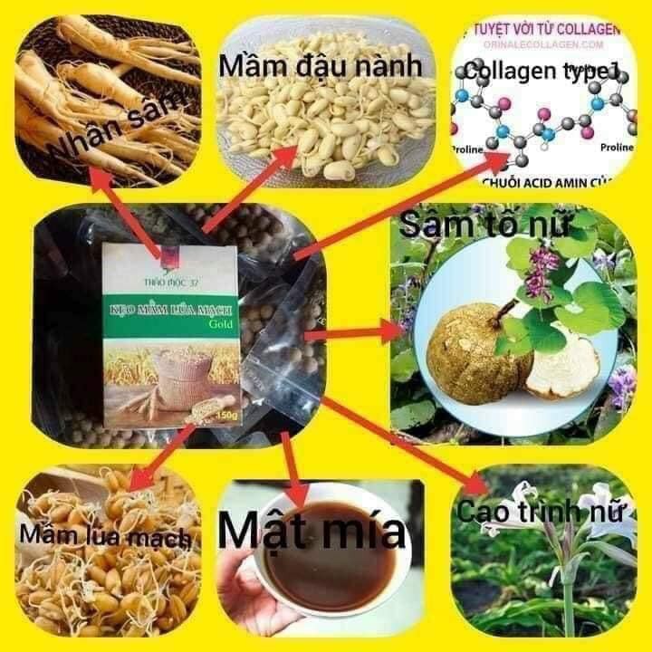 [Chính Hãng] Combo Kẹo Mầm Lúa Mạch Gold-Thảo Mộc 37 | BigBuy360 - bigbuy360.vn