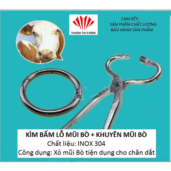 Kìm bấm mũi Bò, bằng hợp kim thép không gỉ, dùng để xỏ vòng inox
