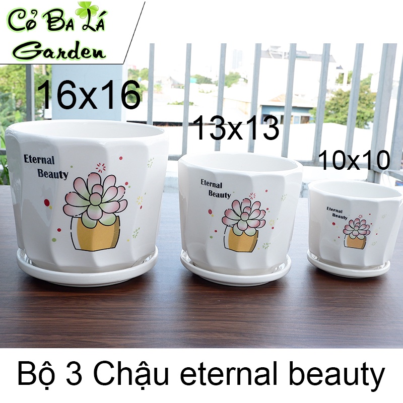 Chậu sứ trồng cây kèm đĩa hứng nước,1 bộ có 3 SIze tự chọn