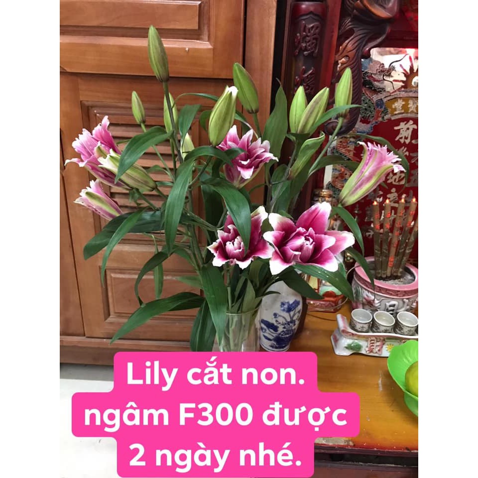 Gói dưỡng hoa tươi lâu tàn khi cắm xốp, lọ hoa, bình hoa trang trí 1 gói 5 gram - Floralife flower