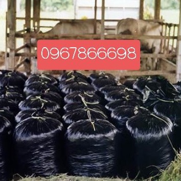 NILON ĐEN Ủ CỎ LOẠI NHỎ DÀY DẶN