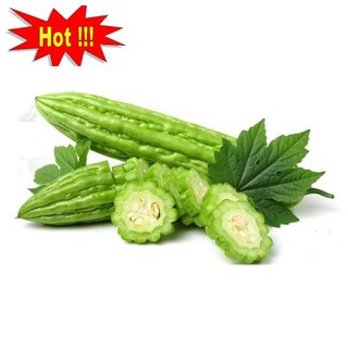 Hạt Giông Mướp Đắng 10 Hạt