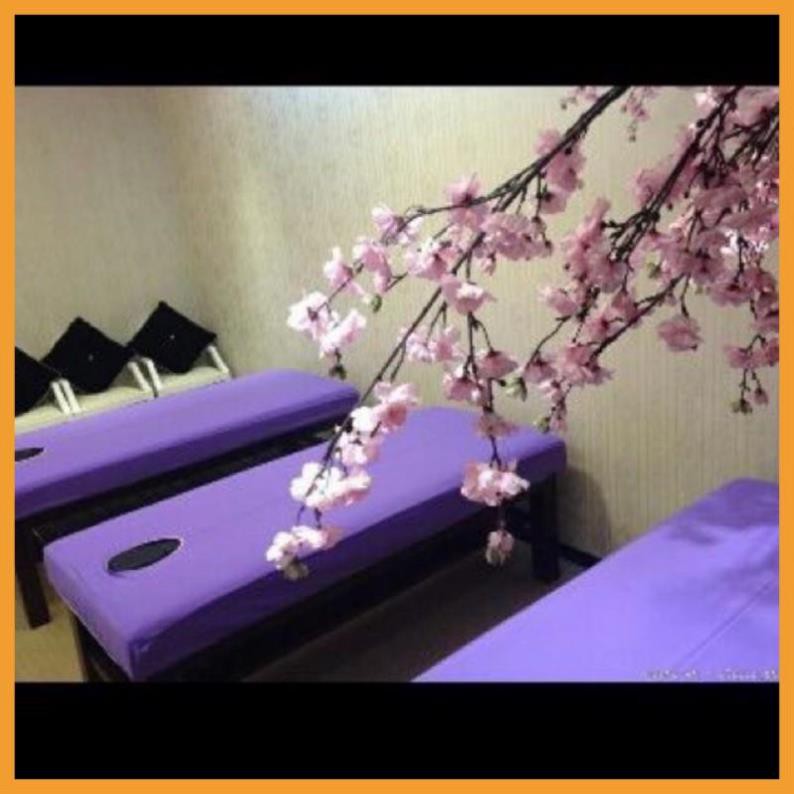 Ga bọc đệm giường spa, nối mi, phum xăm chất thun, kate chéo