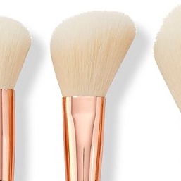 Colourpop - Cọ Phấn Má Hồng F21 Colourpop Ultimate Brush Roll F21