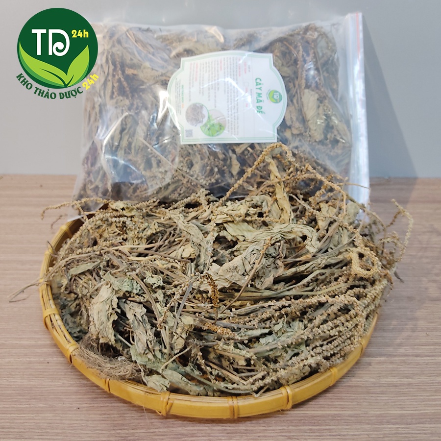 Cây mã đề khô, đánh bay sỏi thận, hỗ trợ rất tốt cho những ai bị bí tiểu, tiểu dắt, điều hòa và ổn định huyết áp