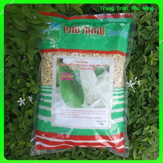 Hạt Giống Bắp Nếp Nù Phú Nông - Gói Lớn 1kg