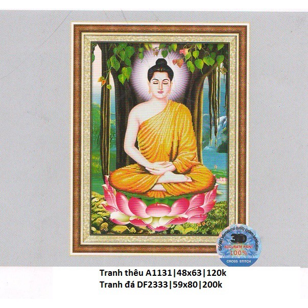 Tranh đính đá AB Phật Thích Ca Mâu Ni DF2333 (KT: 59 x 80 cm)