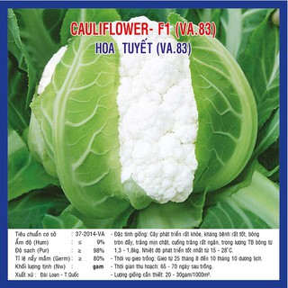 Hạt giống Súp Lơ Trắng Lai F1 Hoa Tuyết (VA.83) – 3.500 Hạt