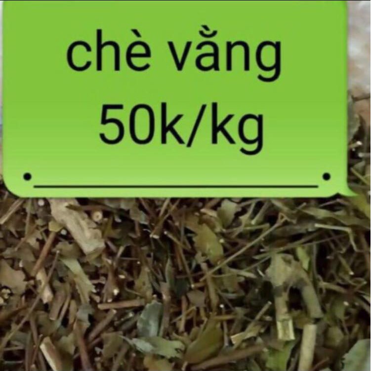 [Mã 267FMCGSALE giảm 8% đơn 500K] Chè vằng Nghệ An lợi sữa 1kg