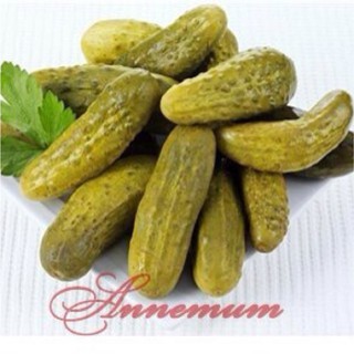 Dưa chuột muối của Nga