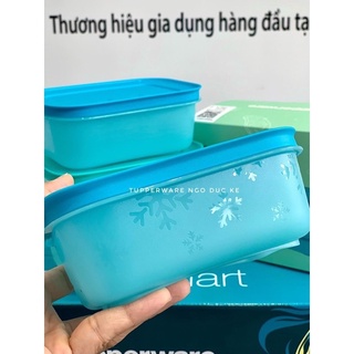 Hộp trữ đông thế hệ mới 450ml ( bán lẻ )