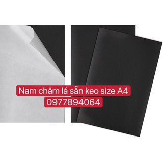 NAM CHÂM LÁ  SẴN KEO - Giáo cụ đồ dùng dạy học cần thiết cho thầy cô