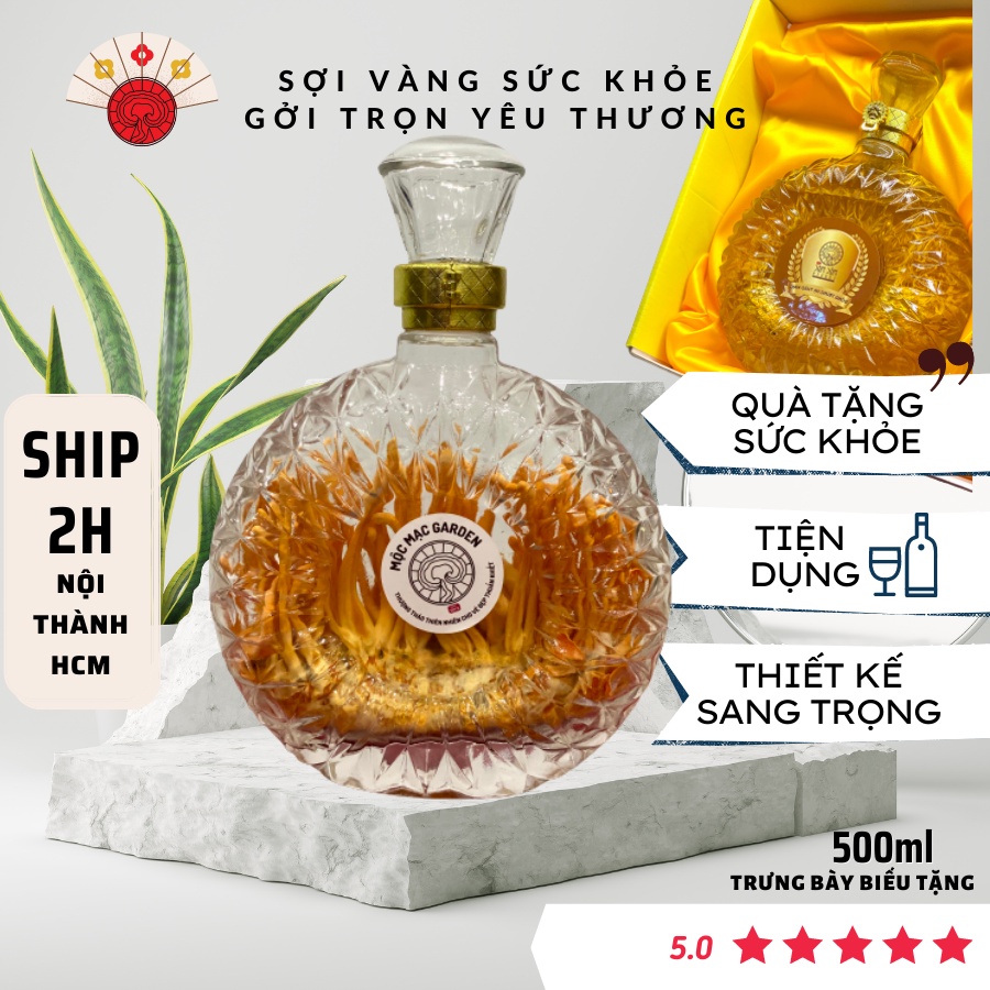 [Mã GROSALE2703 giảm 8% đơn 250K] Chai Đông Trùng Hạ Thảo Tươi MMG Bồi Bổ Cơ Thể dùng Ngâm Mật Ong