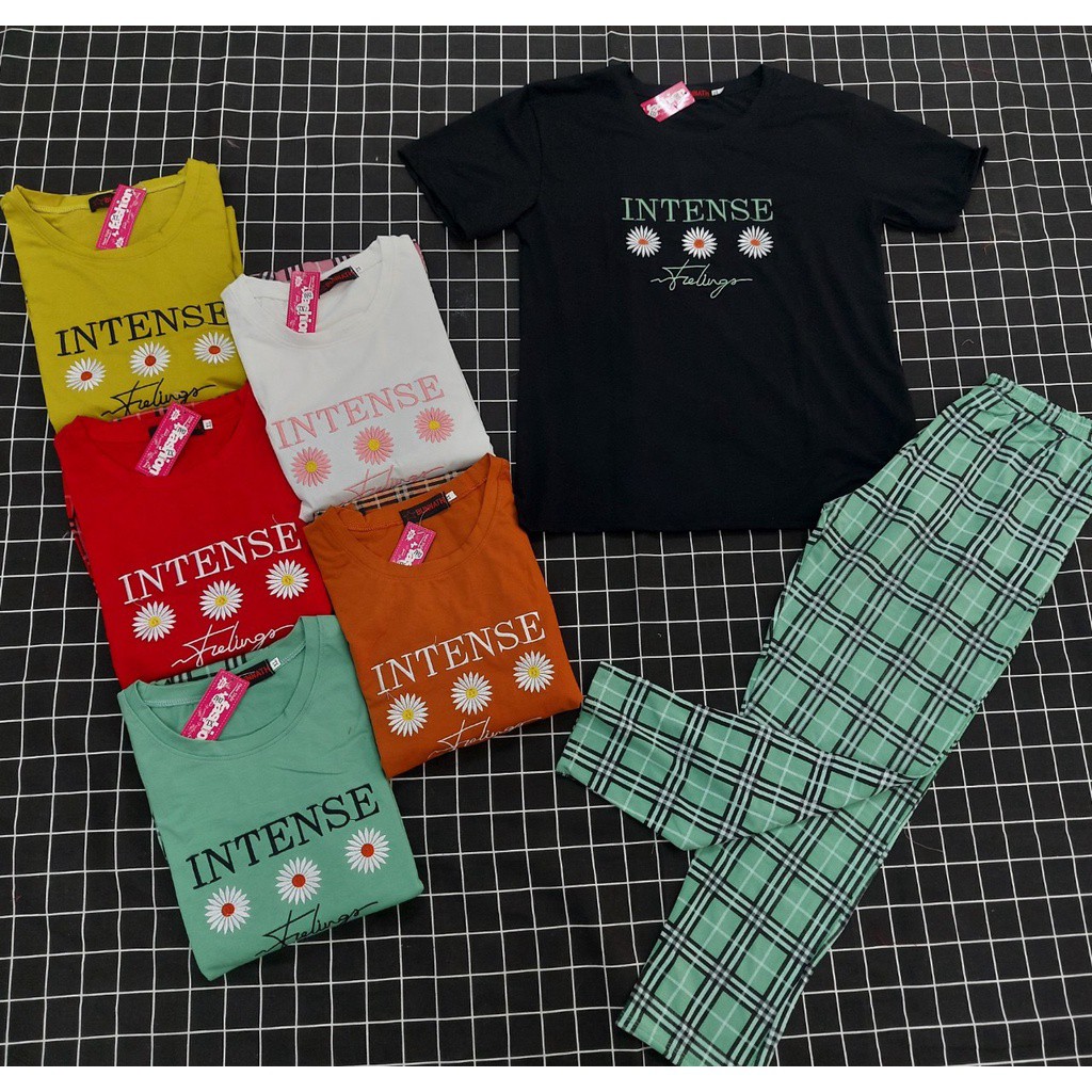 [COTTON] Đồ bộ nữ form rộng SET đồ bọ nữ kiểu set đi chơi cute iNTENSE form đẹp co dãn thoải mái Panda Store