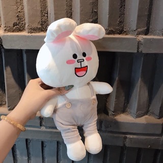 10 sét gấu cony