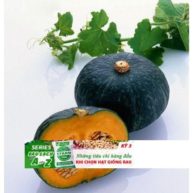 Bí đỏ da xanh siêu ngọt 10 hạt