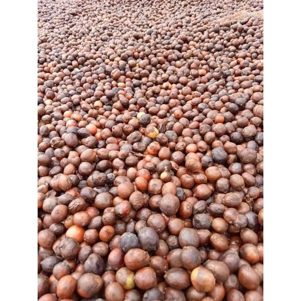 Cafe Culi nguyên chất lựa chín Buôn Mê Thuộc 500g