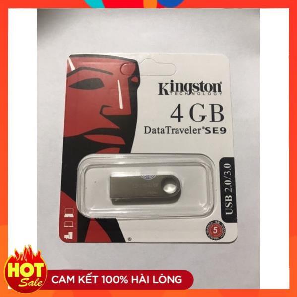 Usb 4 GB Kington Data SE9