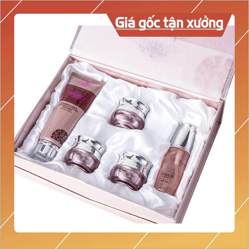 Cả bộ 5 món hoàng cung nâu bán giá lẻ bằng giá sỉ