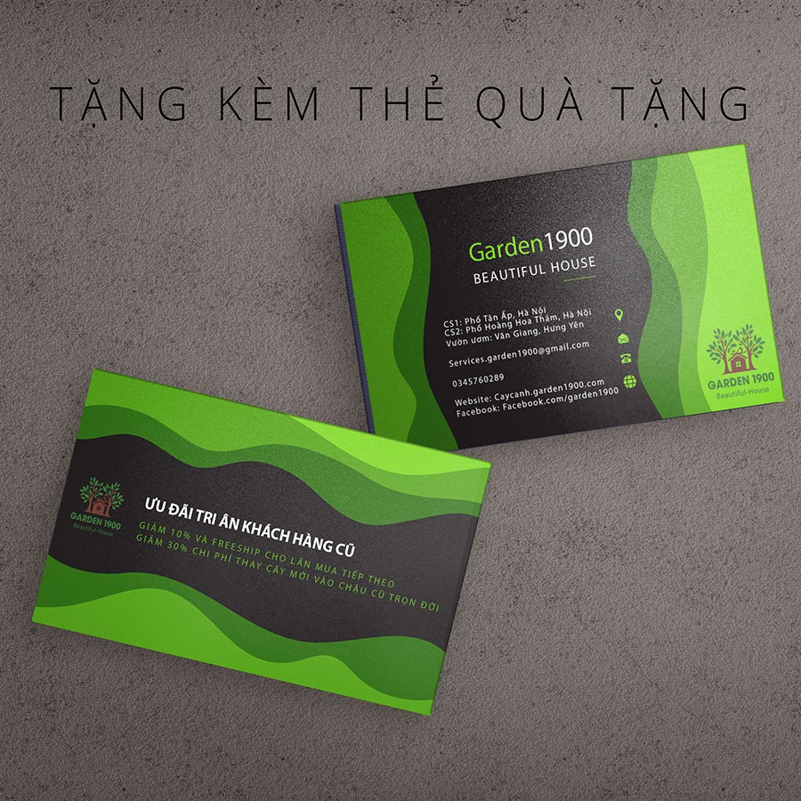 Thẻ Quà Tặng Garden1900 - Beautiful House