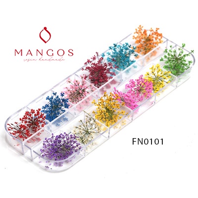 Hộp 12 ô hoa khô trang trí resin epoxy, nail, thiệp, handmade