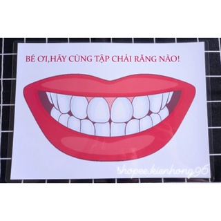 Học liệu mô hình hàm răng