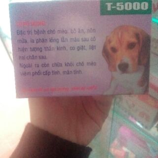 T-5000 - Đặc trị nhiễm khuẩn chó mèo