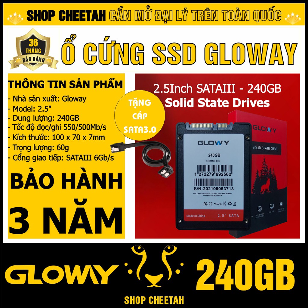 Ổ cứng SSD Gloway 240GB – CHÍNH HÃNG – Bảo hành 3 năm – SSD 240GB – Tặng cáp dữ liệu Sata 3.0 | BigBuy360 - bigbuy360.vn