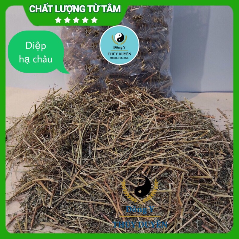 Cây Chó Đẻ 500g (Hàng chất lượng loại 1) - Diệp Hạ Châu